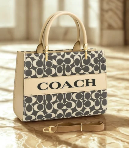 Coach Medium Hand Bag White Grey