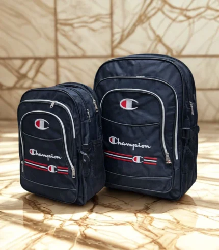 School Bag Combo Set – 2 Pieces High-Quality Large Bags